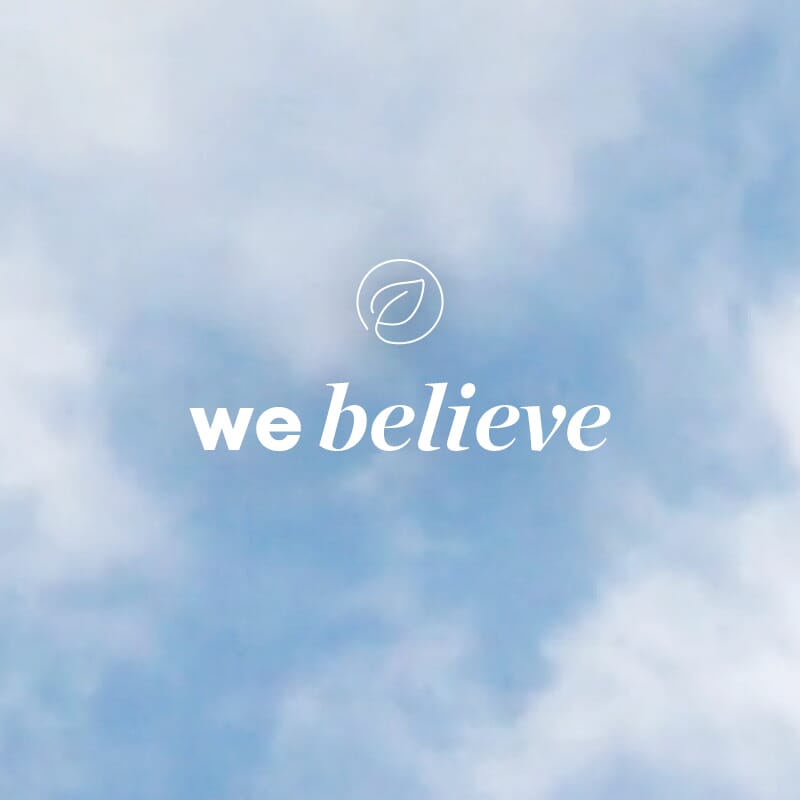 We Believe