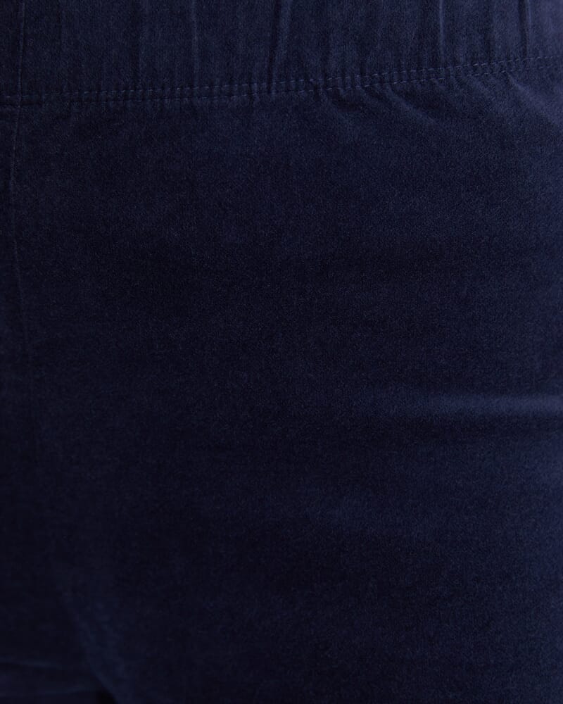 Felicity Velvet Pull On Pant in NAVY