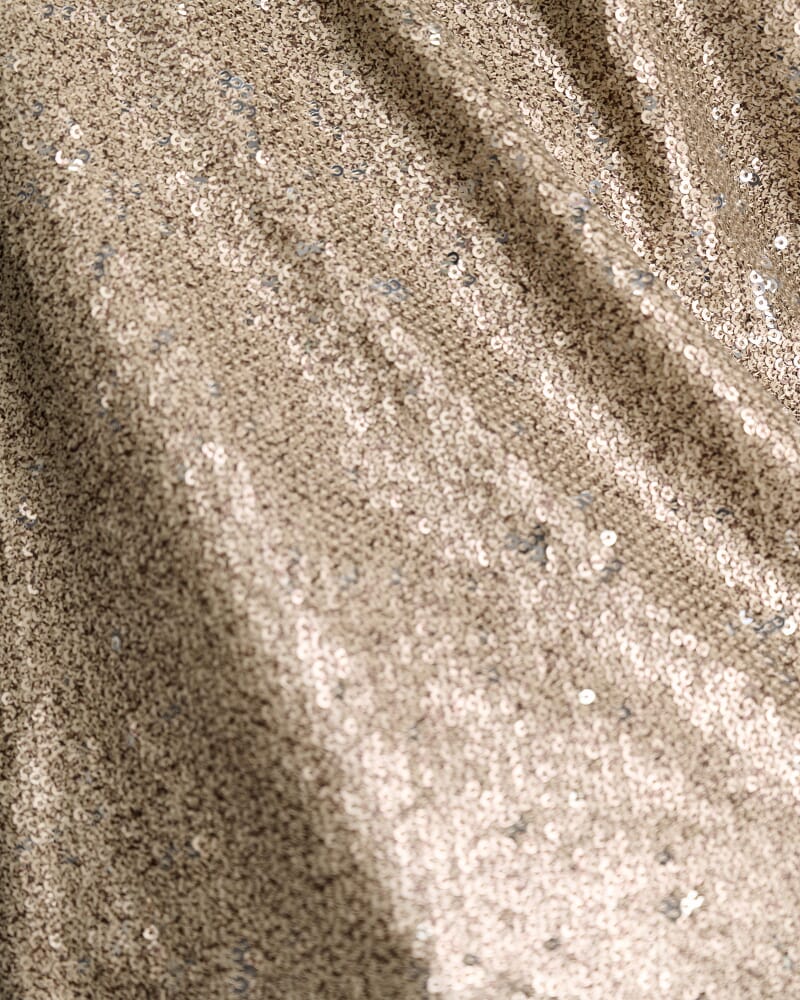 Sammi Sequin Short Sleeve Top in GOLD