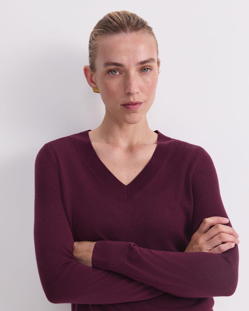 Francis Merino V-Neck Knit in FIG