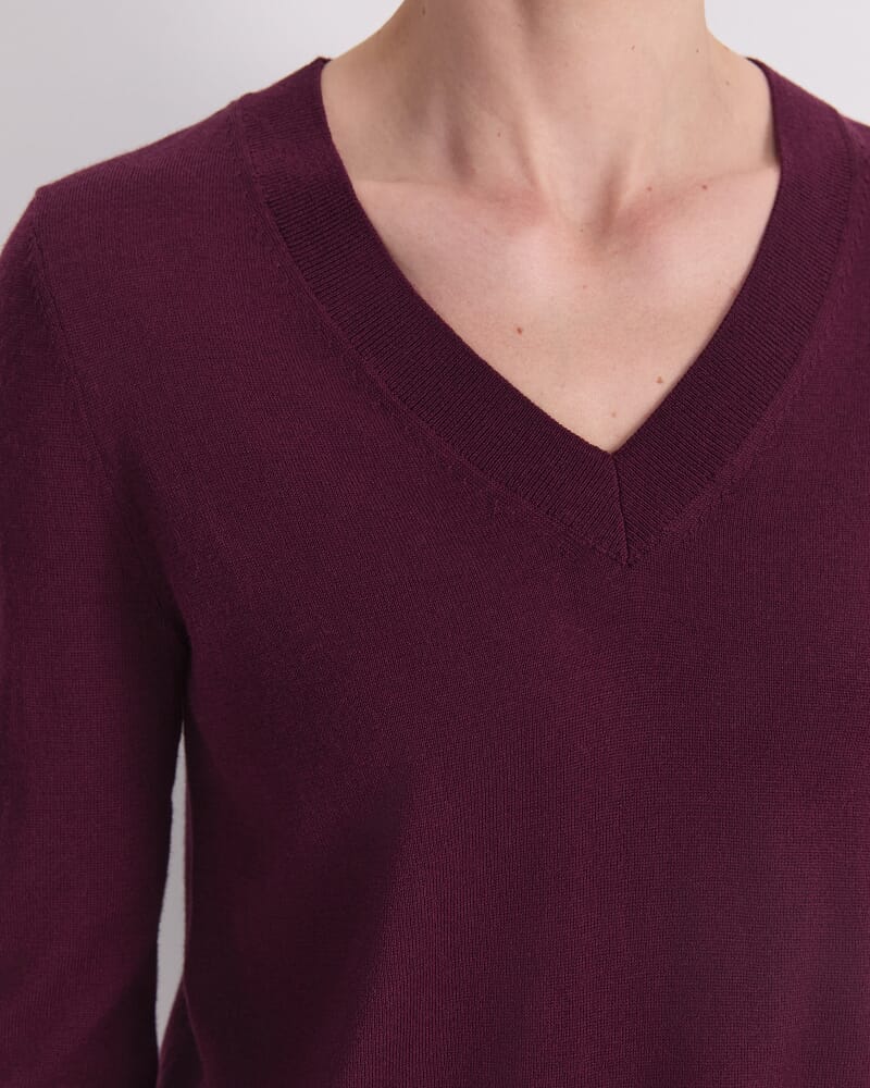 Francis Merino V-Neck Knit in FIG