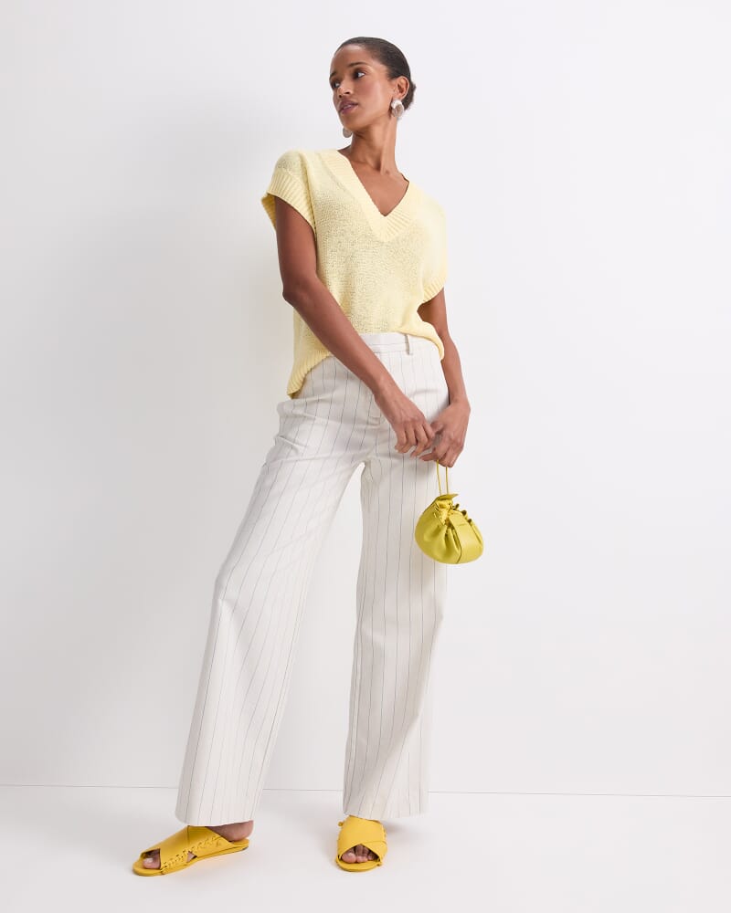 Priya Pinstripe Pant in MULTI