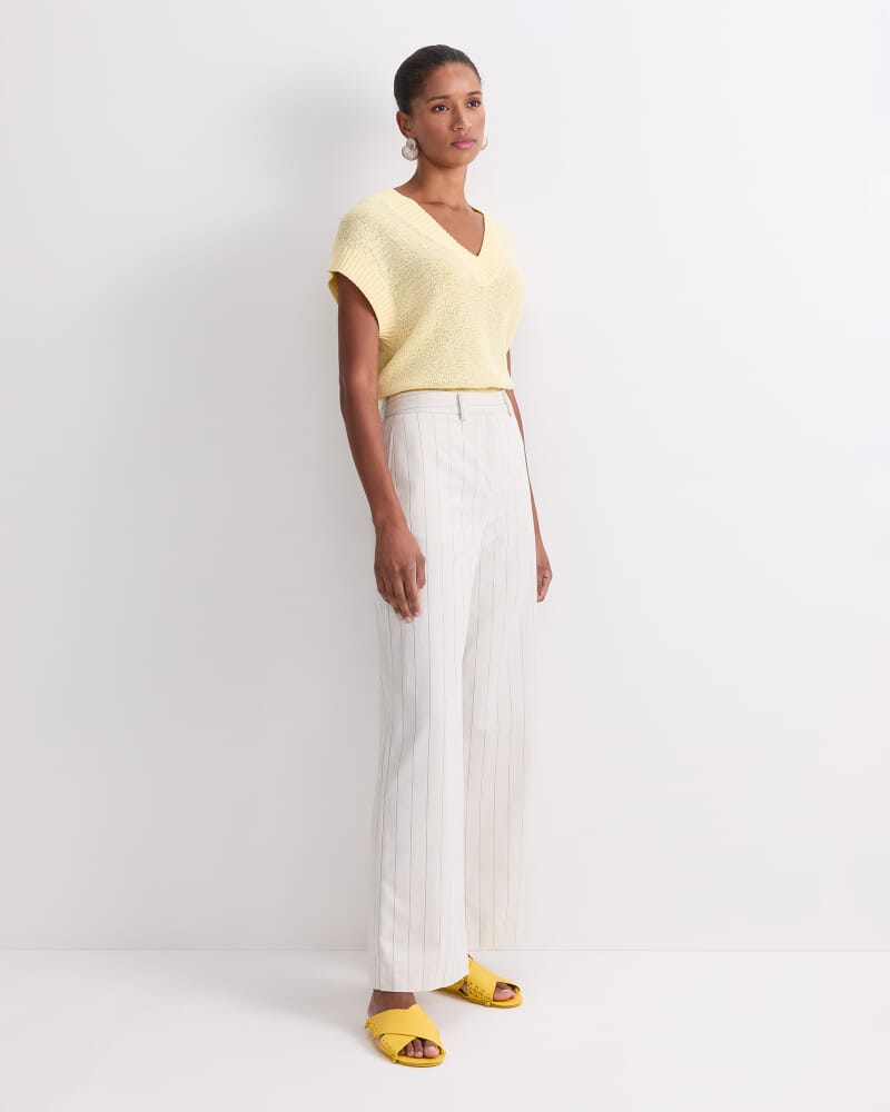 Priya Pinstripe Pant in MULTI