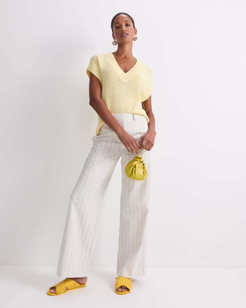 Priya Pinstripe Pant in MULTI