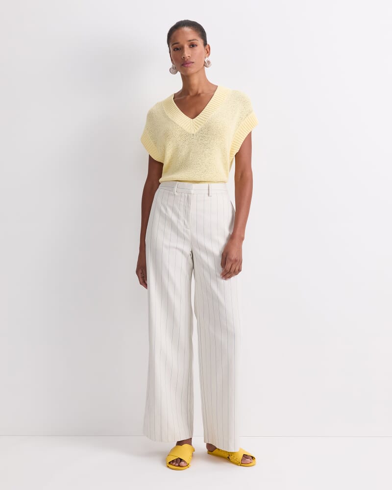 Priya Pinstripe Pant in MULTI