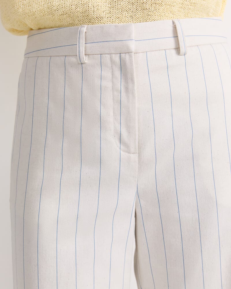 Priya Pinstripe Pant in MULTI