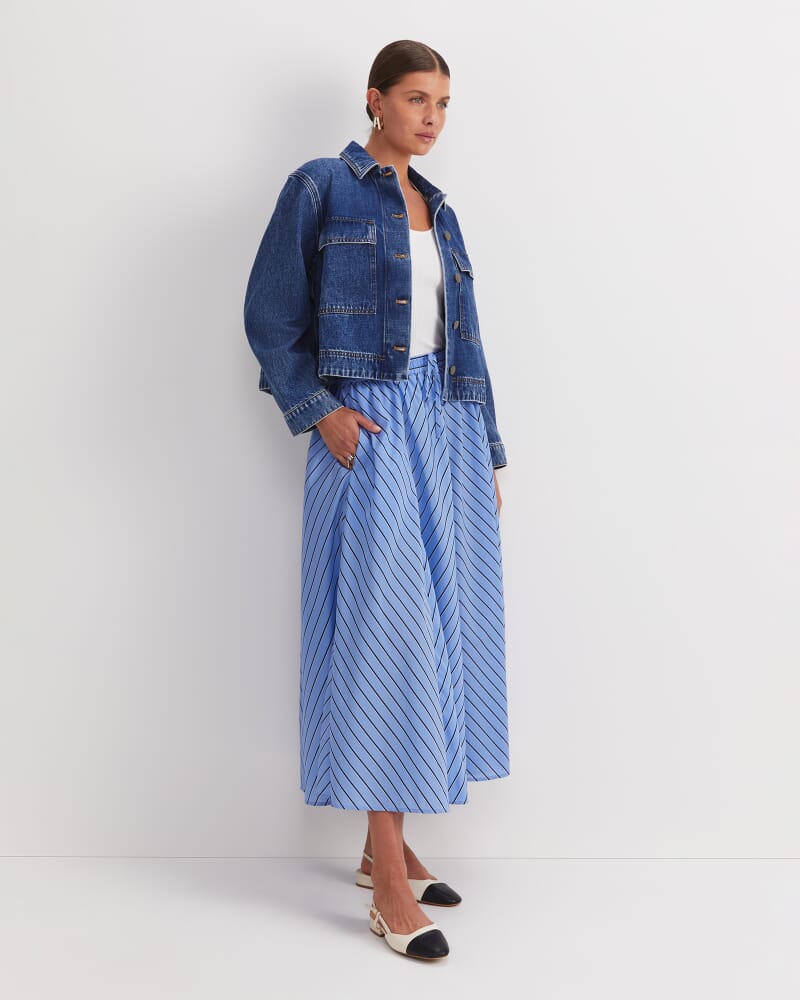 Gina Stripe Maxi Skirt in BLUE/WHITE