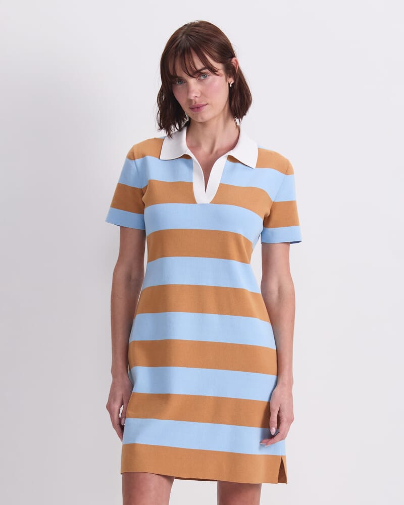 Knit Polo Mini Dress in BLUE/BROWN