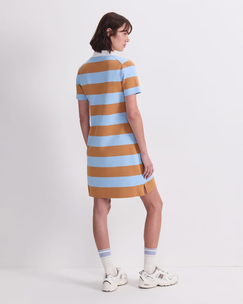 Knit Polo Mini Dress in BLUE/BROWN