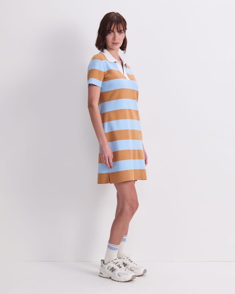 Knit Polo Mini Dress in BLUE/BROWN