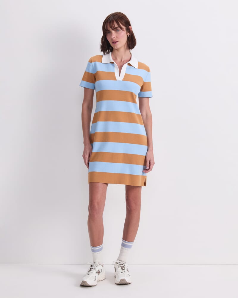 Knit Polo Mini Dress in BLUE/BROWN