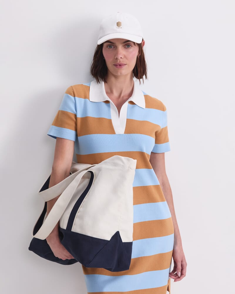 Knit Polo Mini Dress in BLUE/BROWN