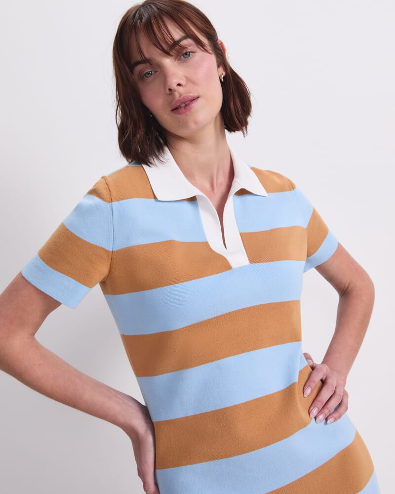 Knit Polo Mini Dress in BLUE/BROWN