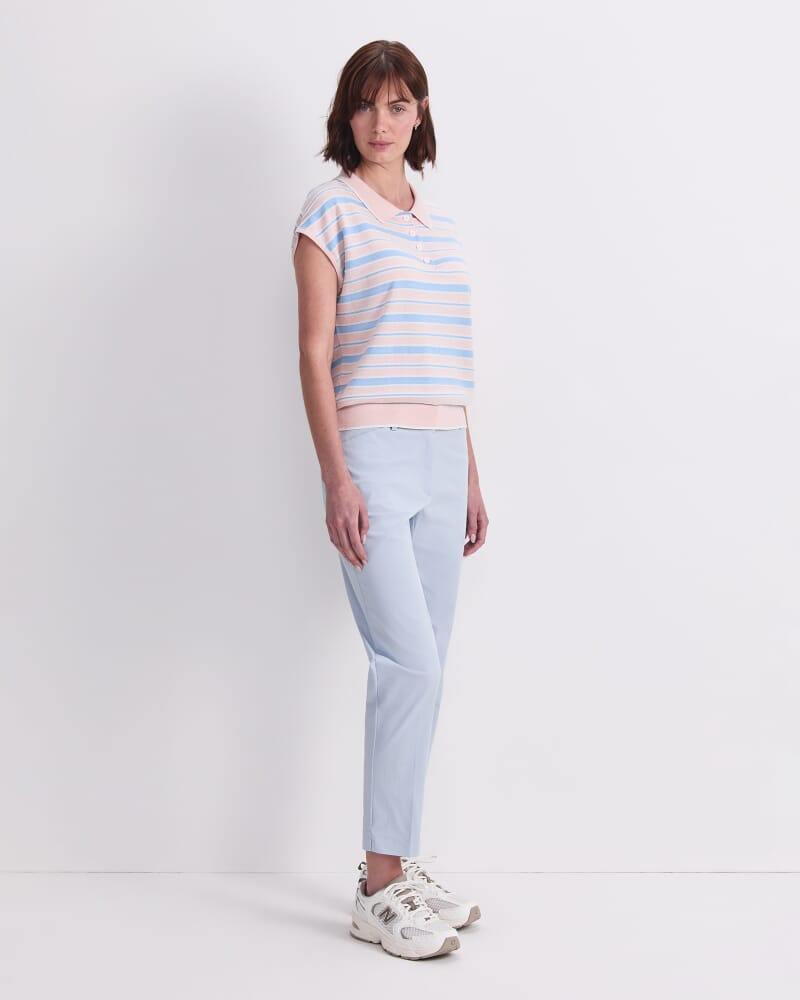 Alphine Stripe Polo in MULTI
