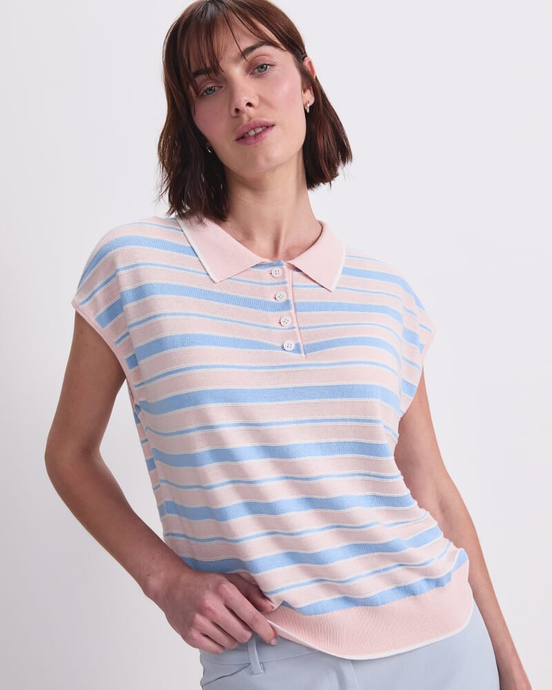 Alphine Stripe Polo in MULTI