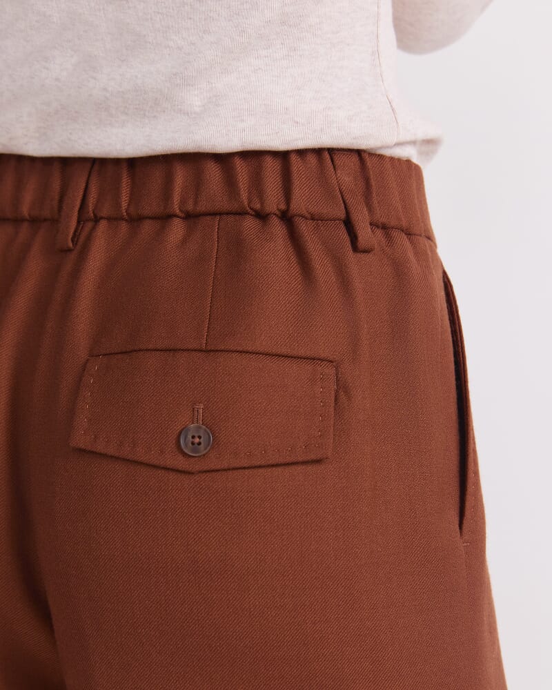Wren Pleat Pant in CIGAR