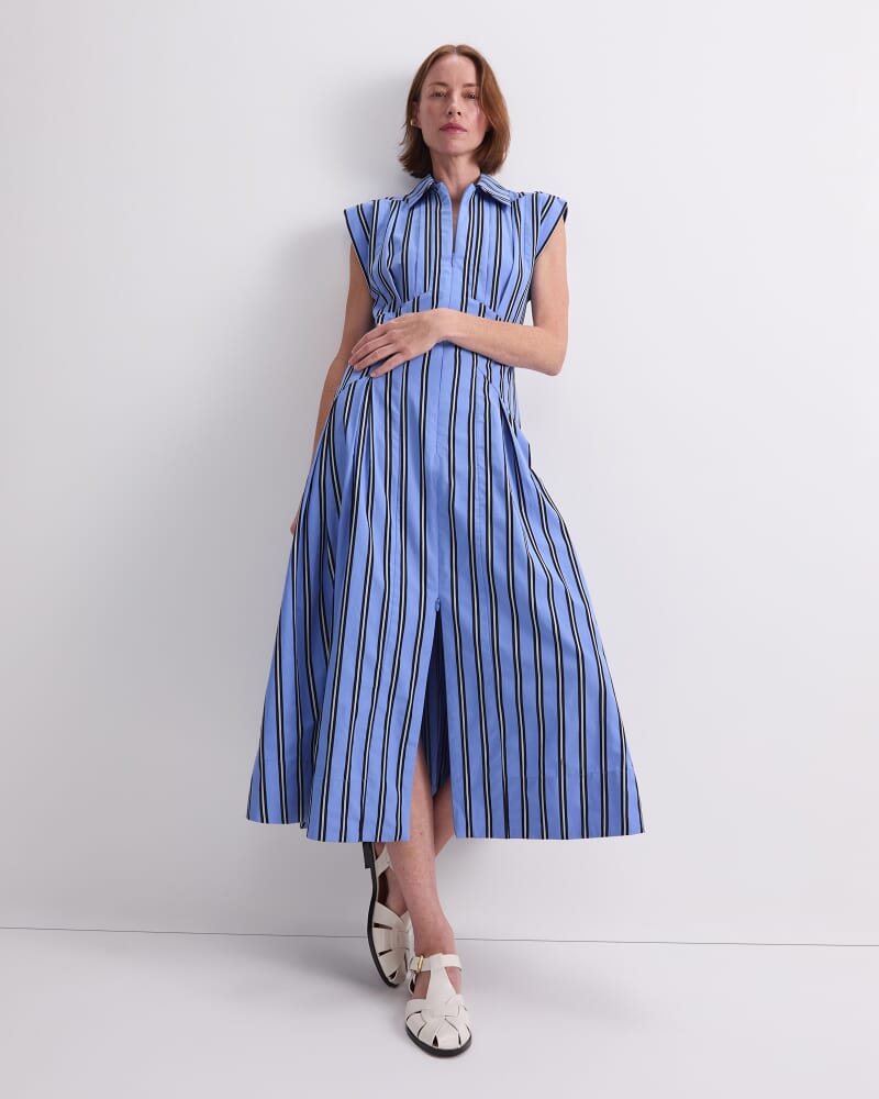 Jade Stripe Dress in BLUE MULTI