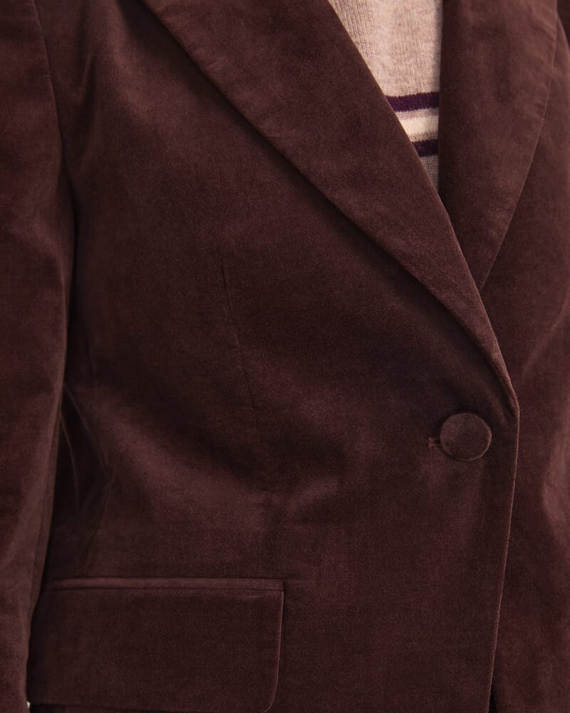 Thea Velvet Blazer in CHOCOLATE