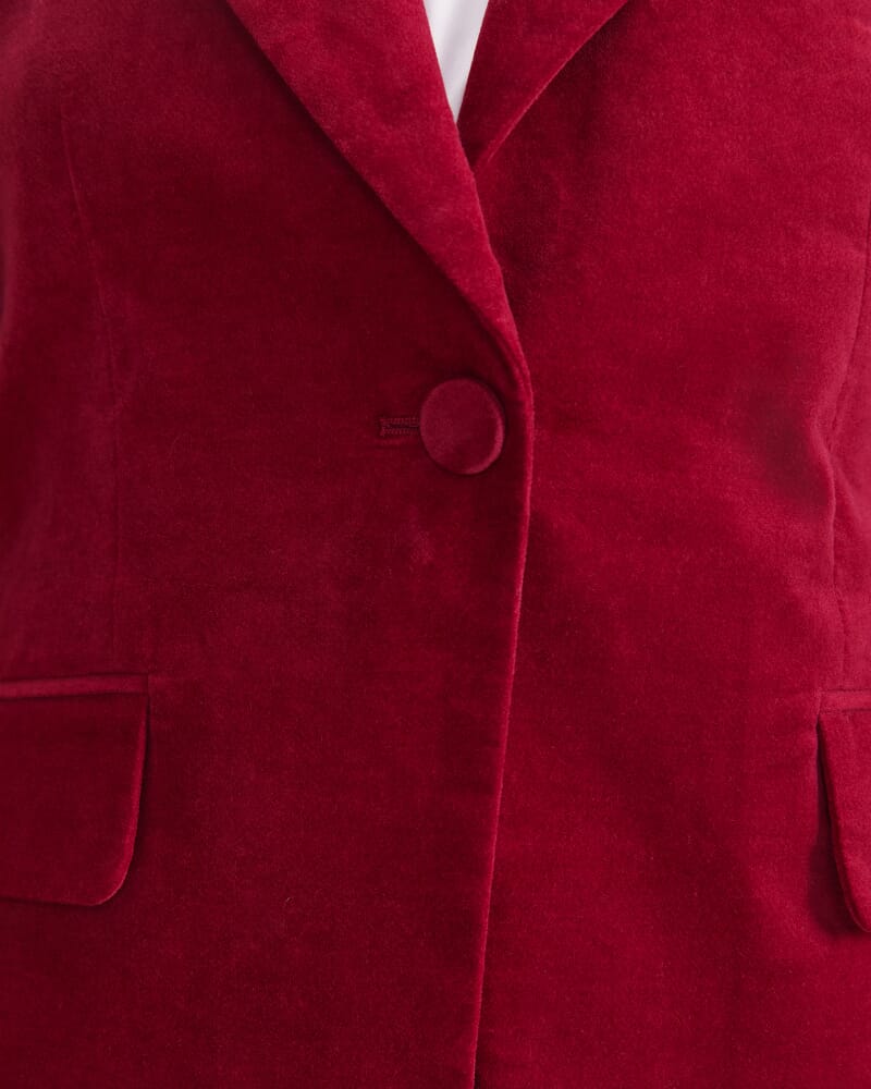 Thea Velvet Blazer in WINE