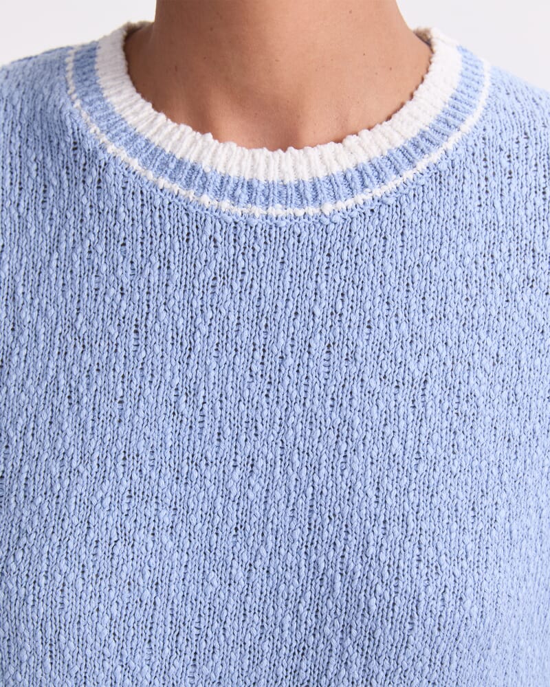 Cotton Crew Neck Knit in SKY BLUE