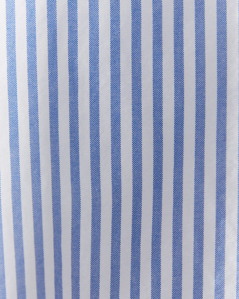 Oxford Stripe Long Sleeve Shirt in DUTCH BLUE
