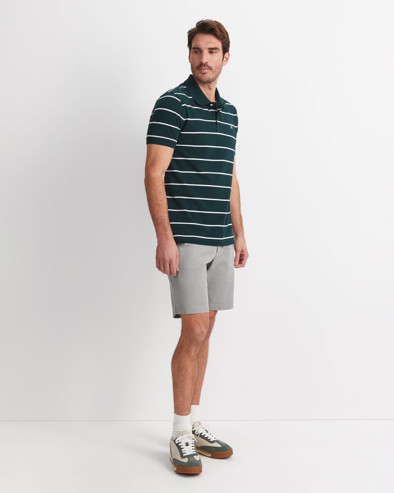 David Stripe Polo in PINE