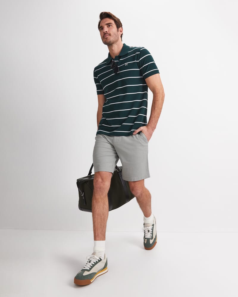 David Stripe Polo in PINE