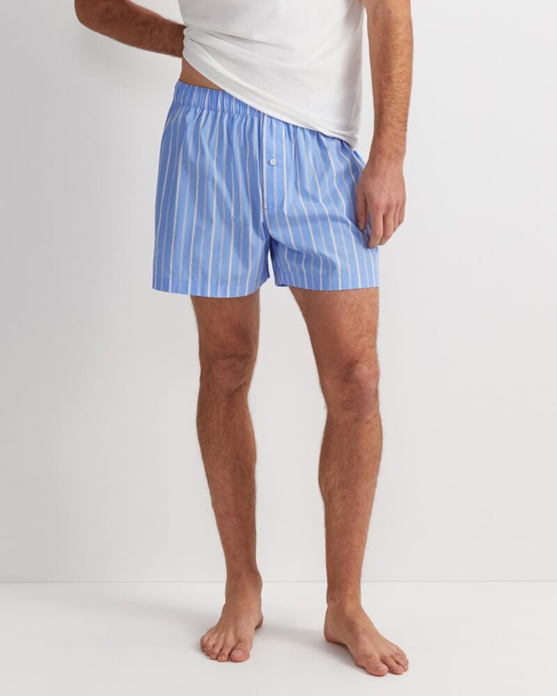 Clarke Boxer in BLUE MULTI