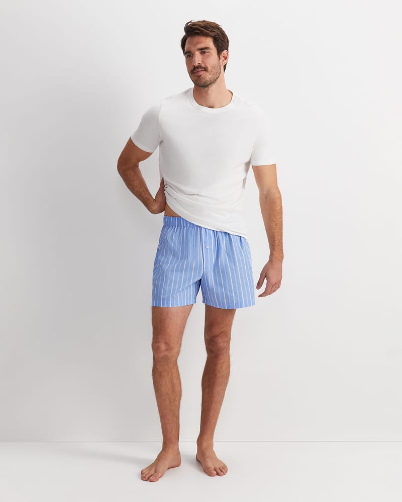 Clarke Boxer in BLUE MULTI