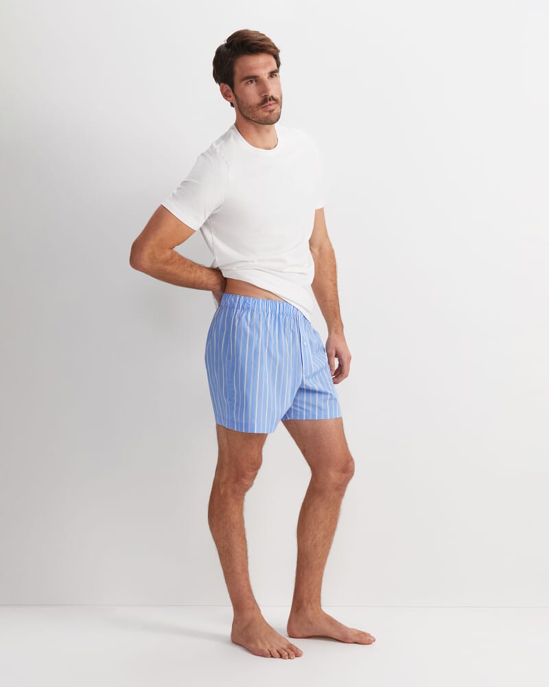 Clarke Boxer in BLUE MULTI