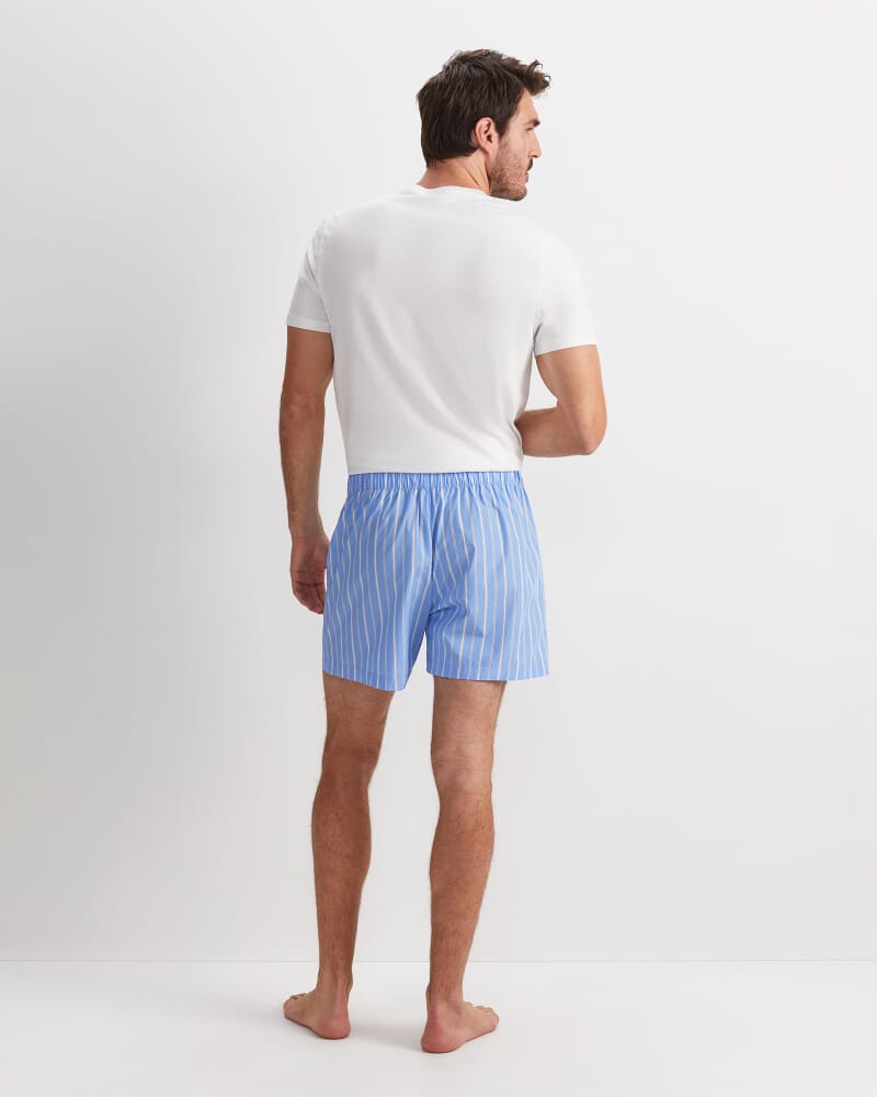 Clarke Boxer in BLUE MULTI