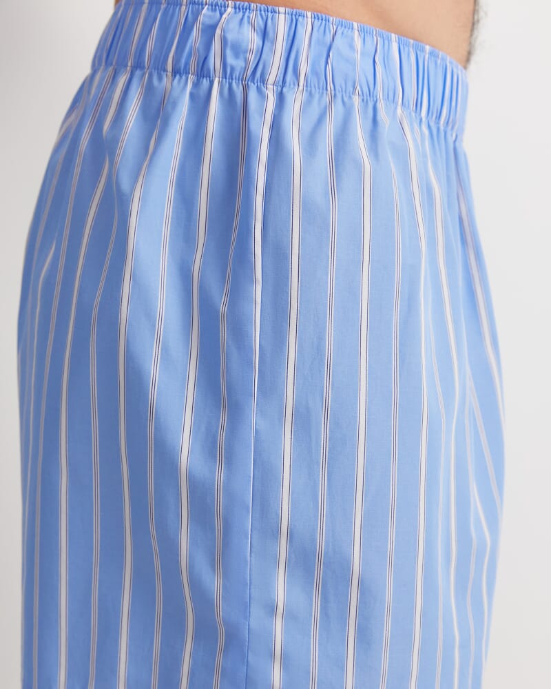 Clarke Boxer in BLUE MULTI